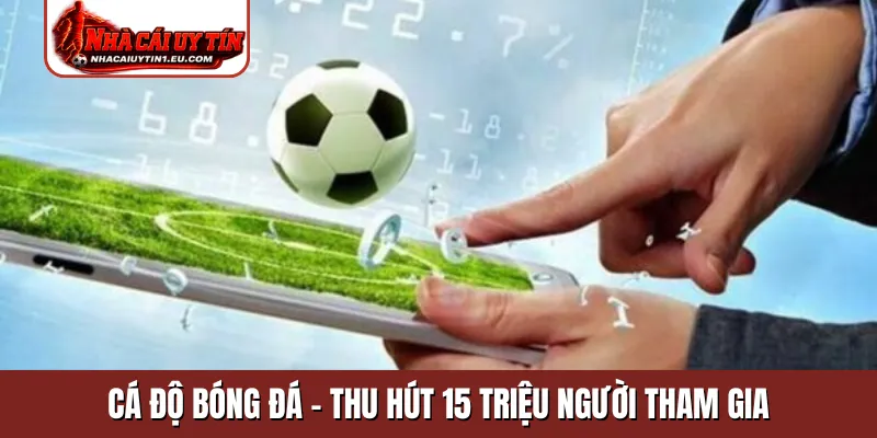 Cá độ bóng đá