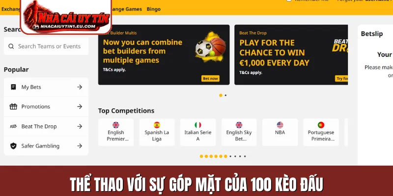 Thể thao với sự góp mặt của 100 kèo đấu